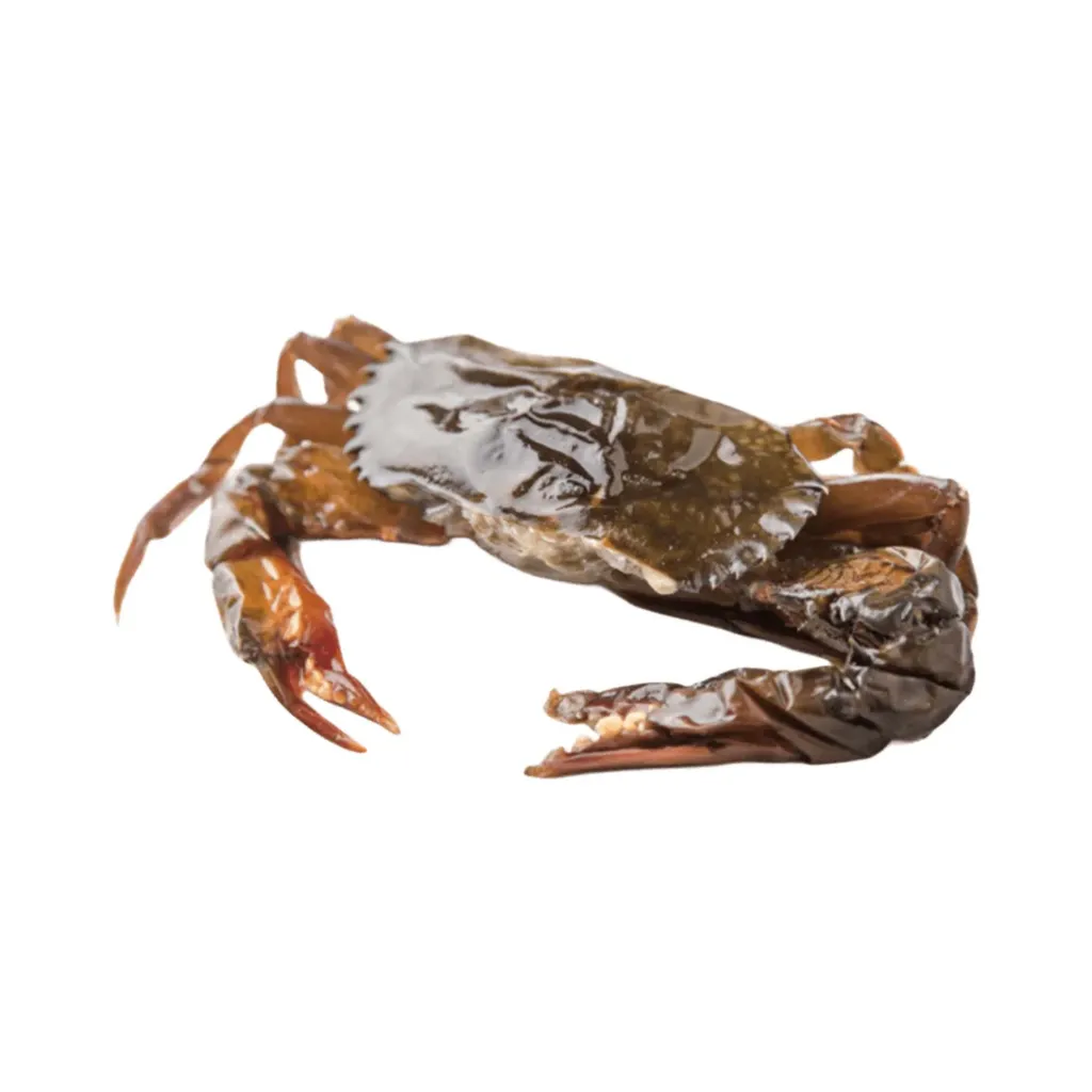 SOFT SHELL CRAB- GRANCHIO INDOPACIFICO 1kg
软壳蟹