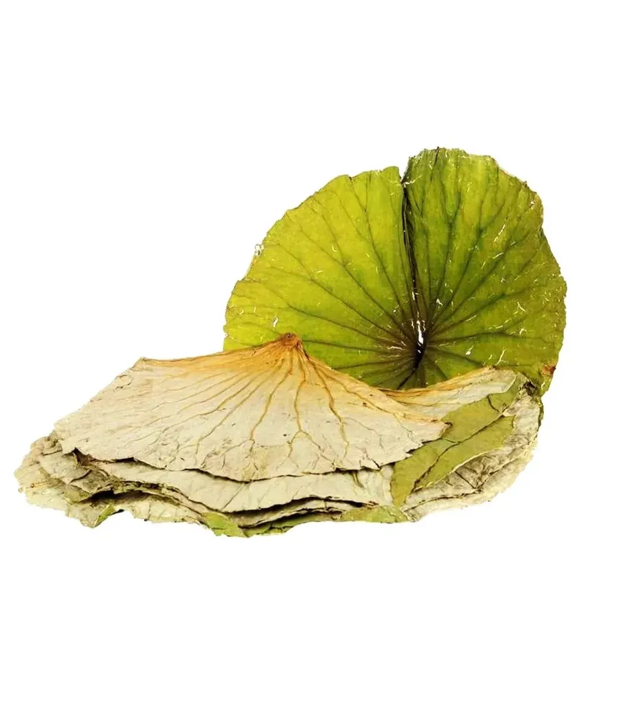 FOGLIO DI LOTO 1kg 荷叶