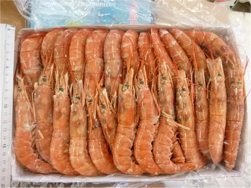 GAMBERO ATLANTICO 20/30 L2 2KG 阿根廷对虾