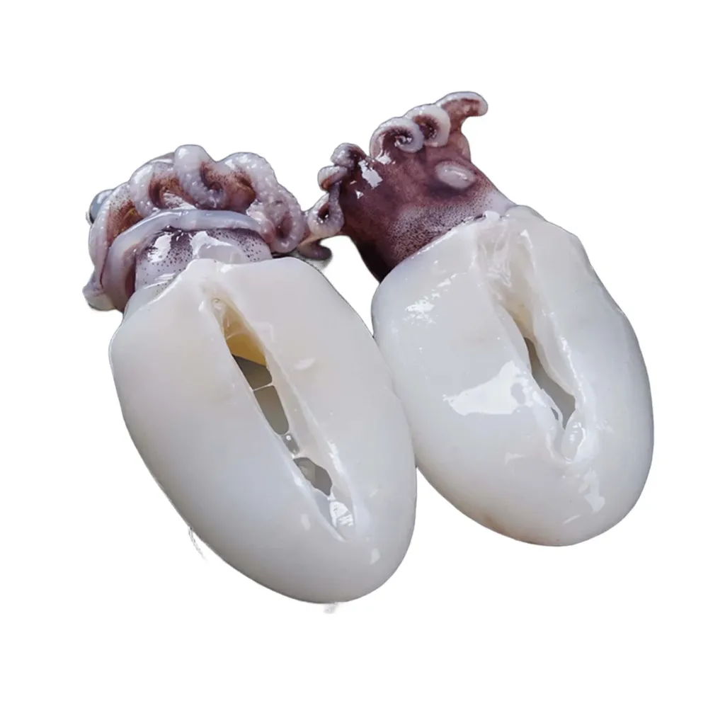 [C3006] SEPPIA INDOPACIFICA PULITA 20/40 2KG 小墨鱼