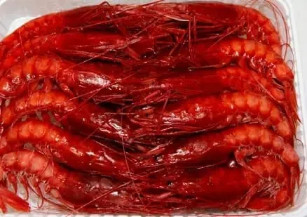 GAMBERO ROSSO III 800gr  红虾三号