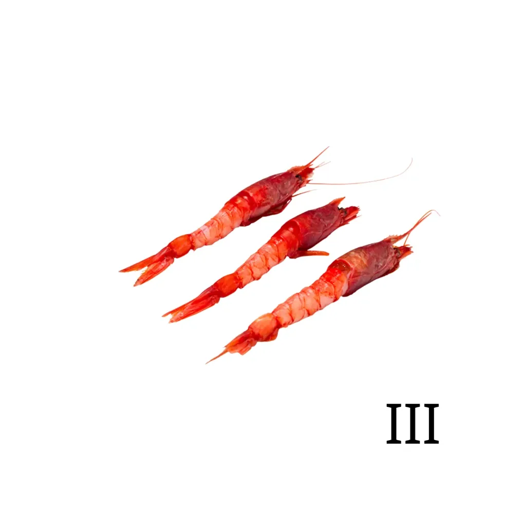 [C3030] GAMBERO ROSSO III 800gr  红虾3号