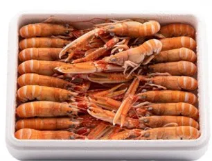 SCAMPI IRLADA 26/35 1.35KG 海螯虾