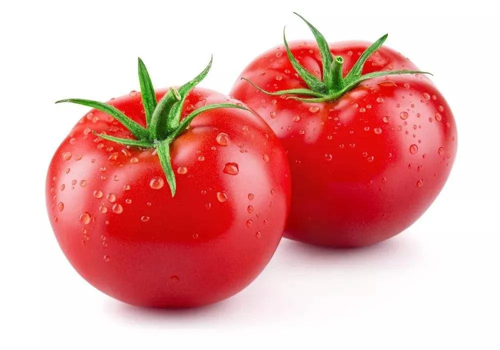 POMODORO 西红柿 5kg