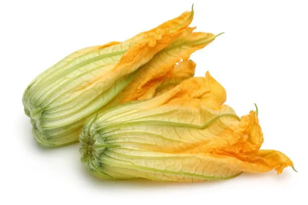 Fiore di zucca 南瓜花 8盒