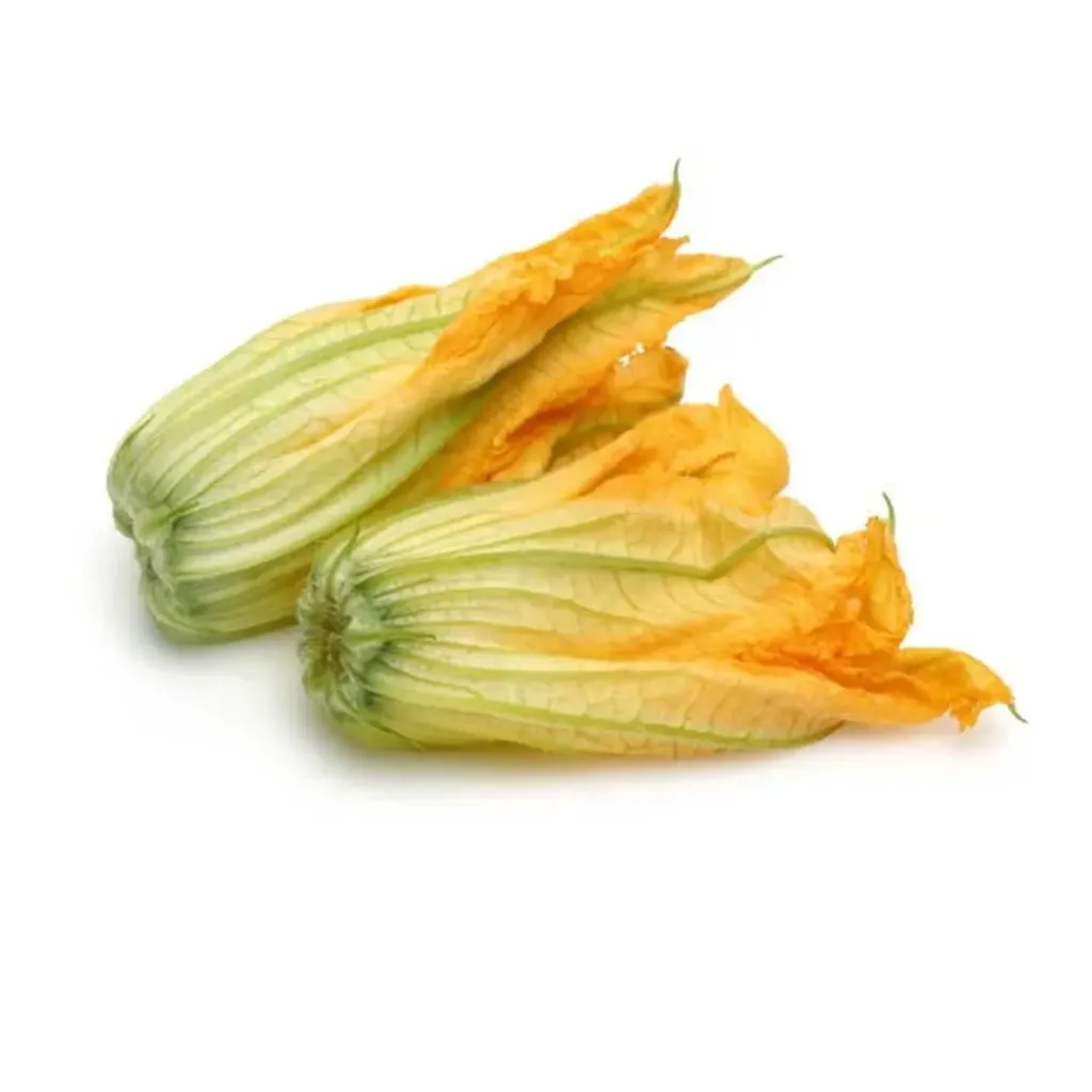 Fiore di zucca 南瓜花 8盒