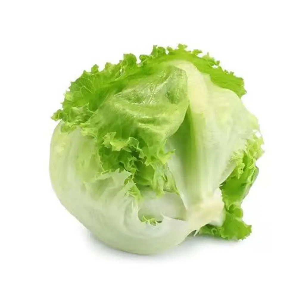 [F8009] INSALATA ICEBERG 沙拉球