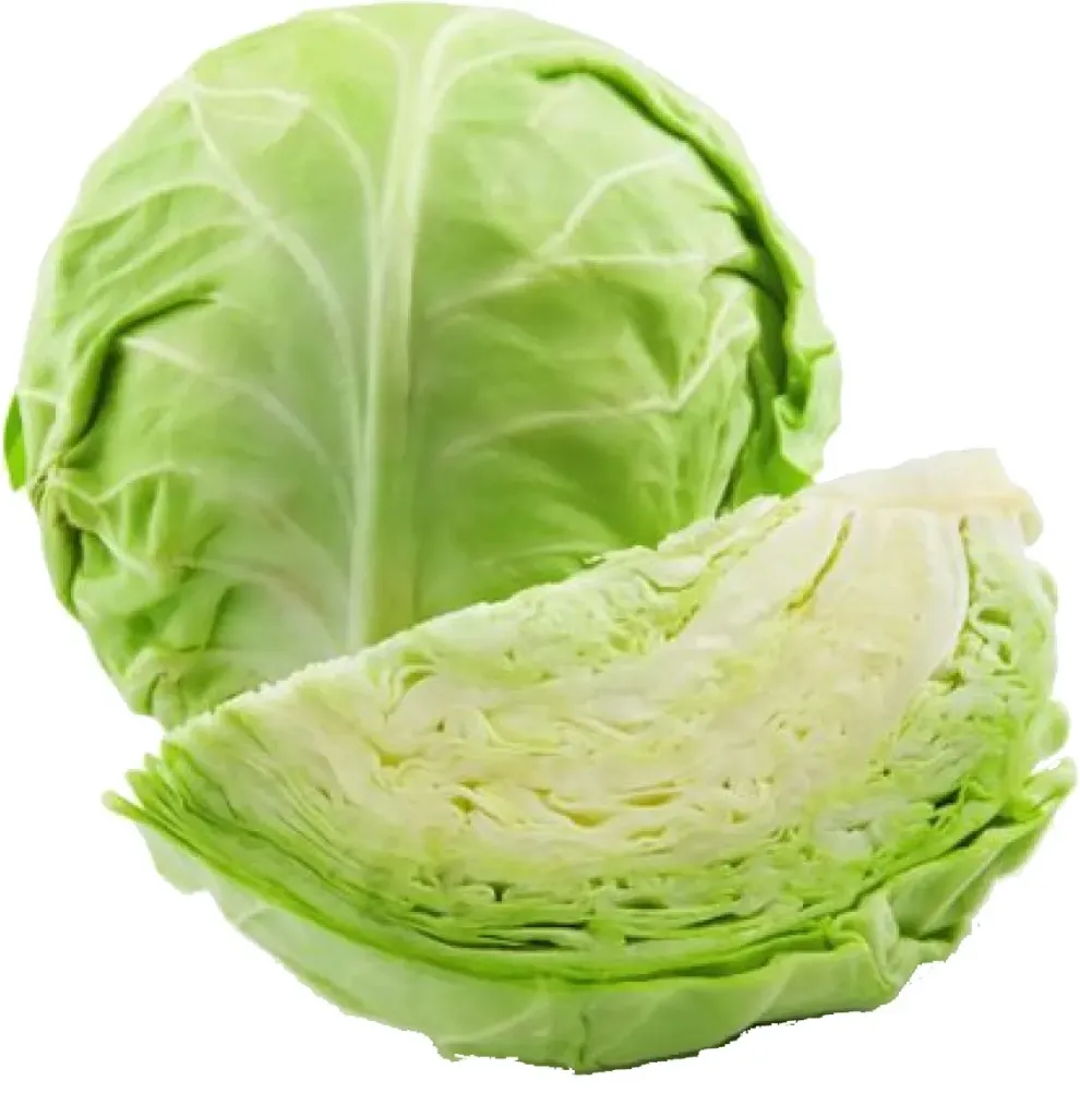CRAUTI AL SACCO 硬球菜 10KG