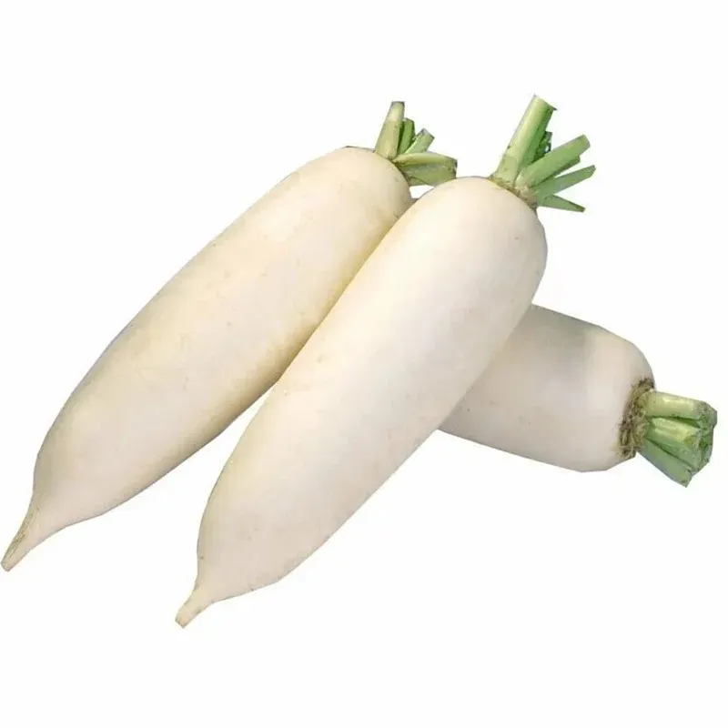 RAPA BIANCA 白萝卜