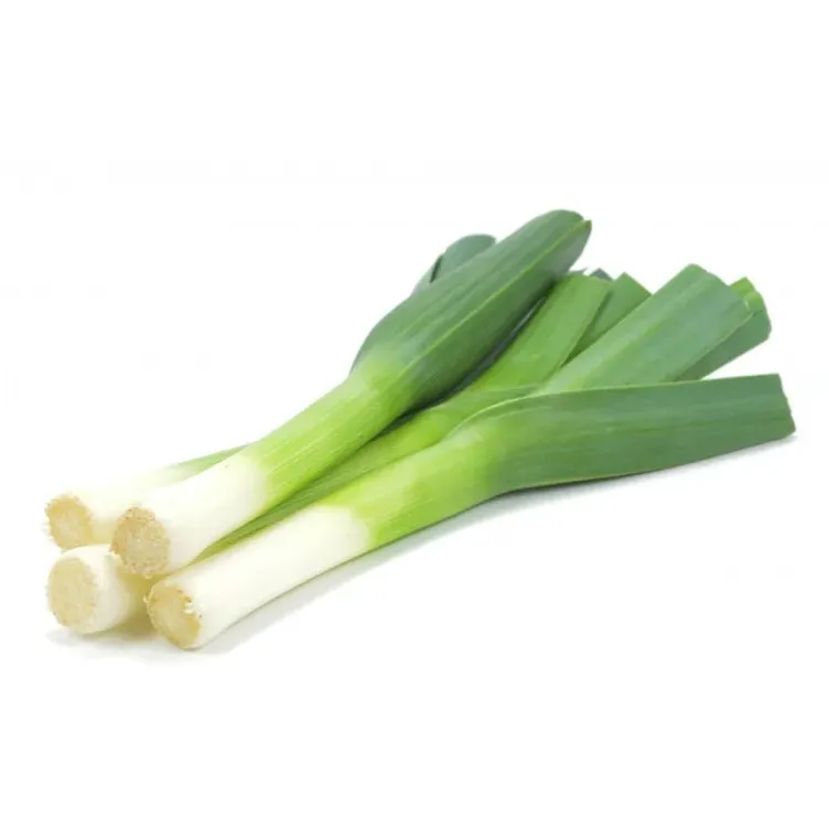 PORRO 意大利大葱