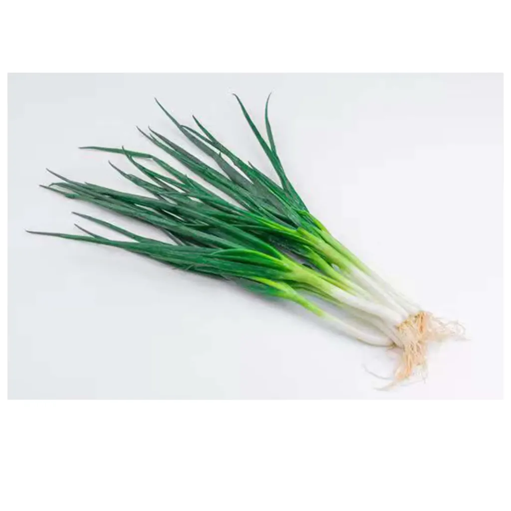 ERBA CIPOLLINA 小小葱 30G