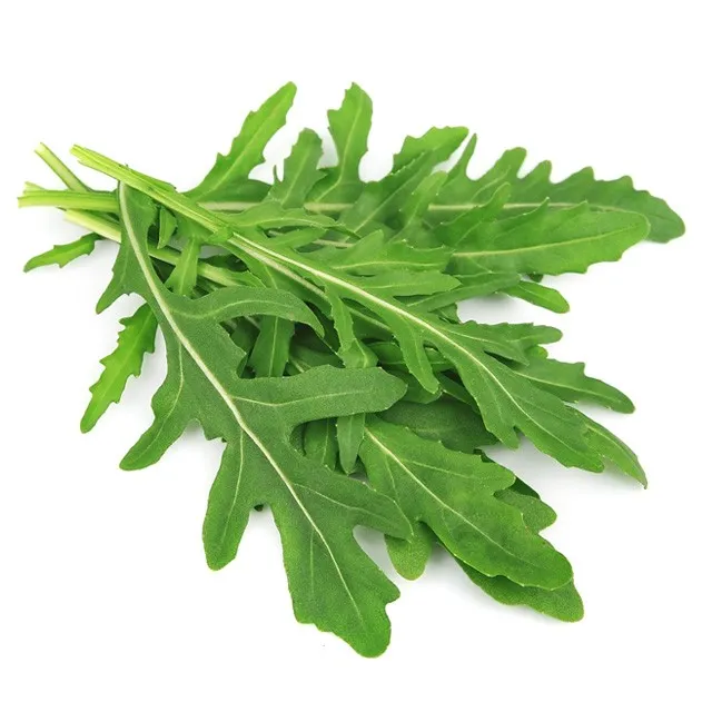 RUCOLA BOX 芝麻菜 8盒装