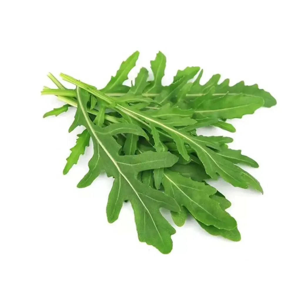 RUCOLA BOX 芝麻菜 8盒装