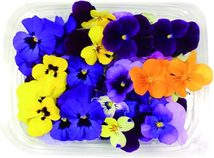 FIORI EDULI 摆盘小花 6盒