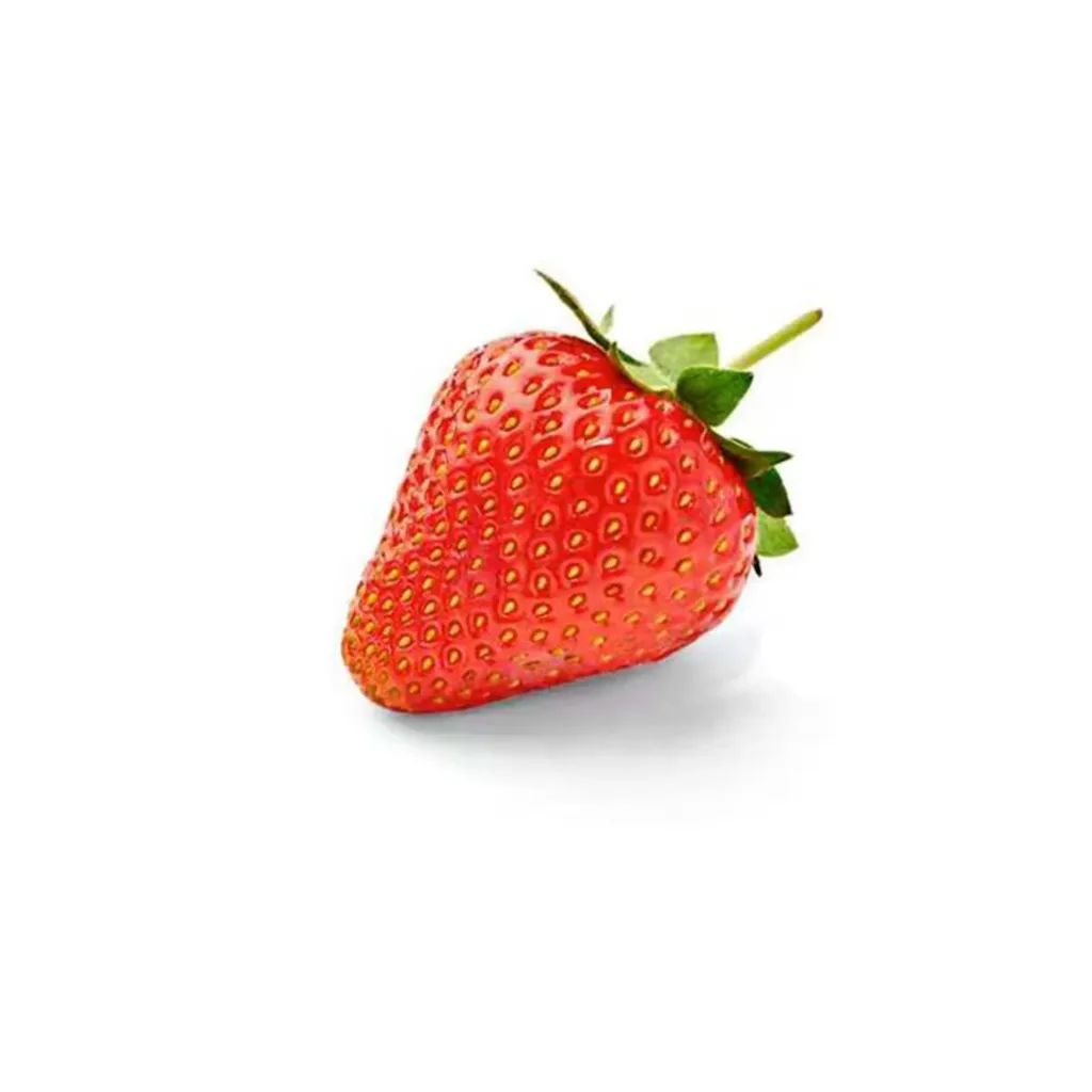 FRAGOLA FRESCO 草莓