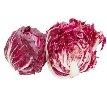 RADICCHIO ROSSO 红沙拉
