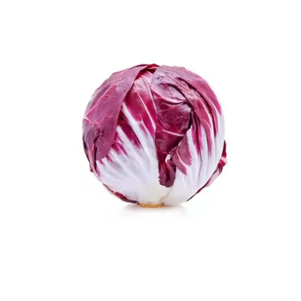 RADICCHIO ROSSO 红沙拉