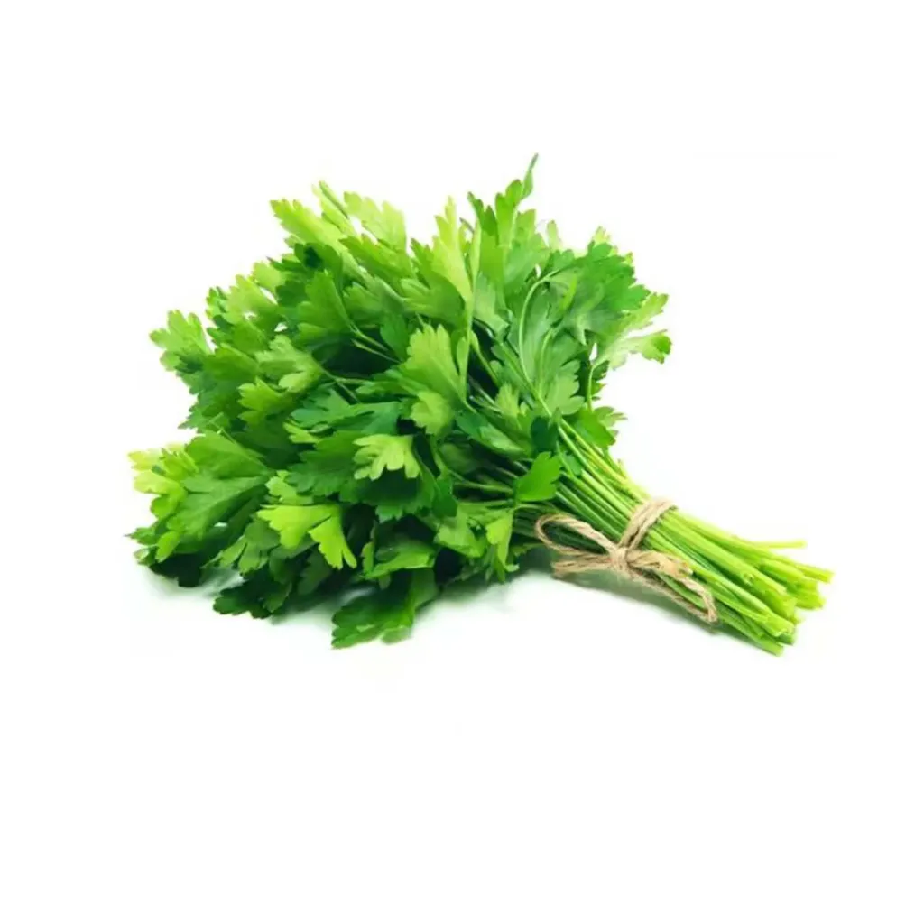 [F8064] PREZZEMOLO 意大利香菜 40GR 8盒装