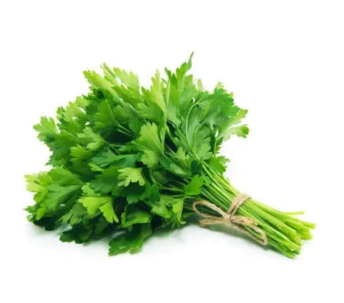 PREZZEMOLO 意大利香菜