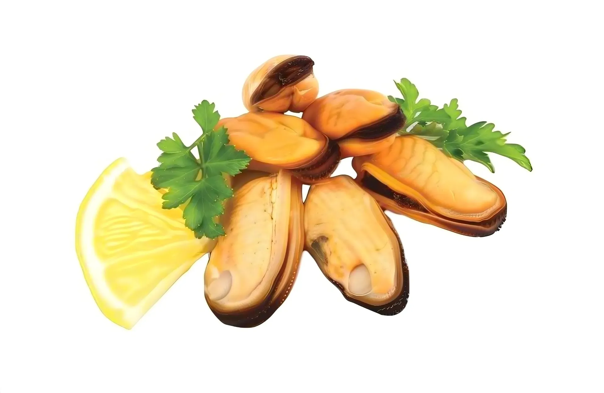 [C3015] COZZE CILENE SGUSCIATE COTTE 智利无壳淡菜肉10%GL 1kg