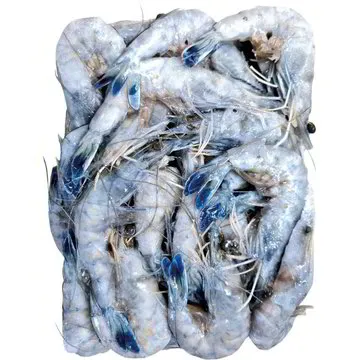 MAZZANCOLLA TROPICALE INTERA 30/40 2KG 带头虾