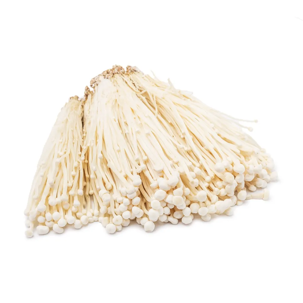 FUNGHI ENOKI 金针菇