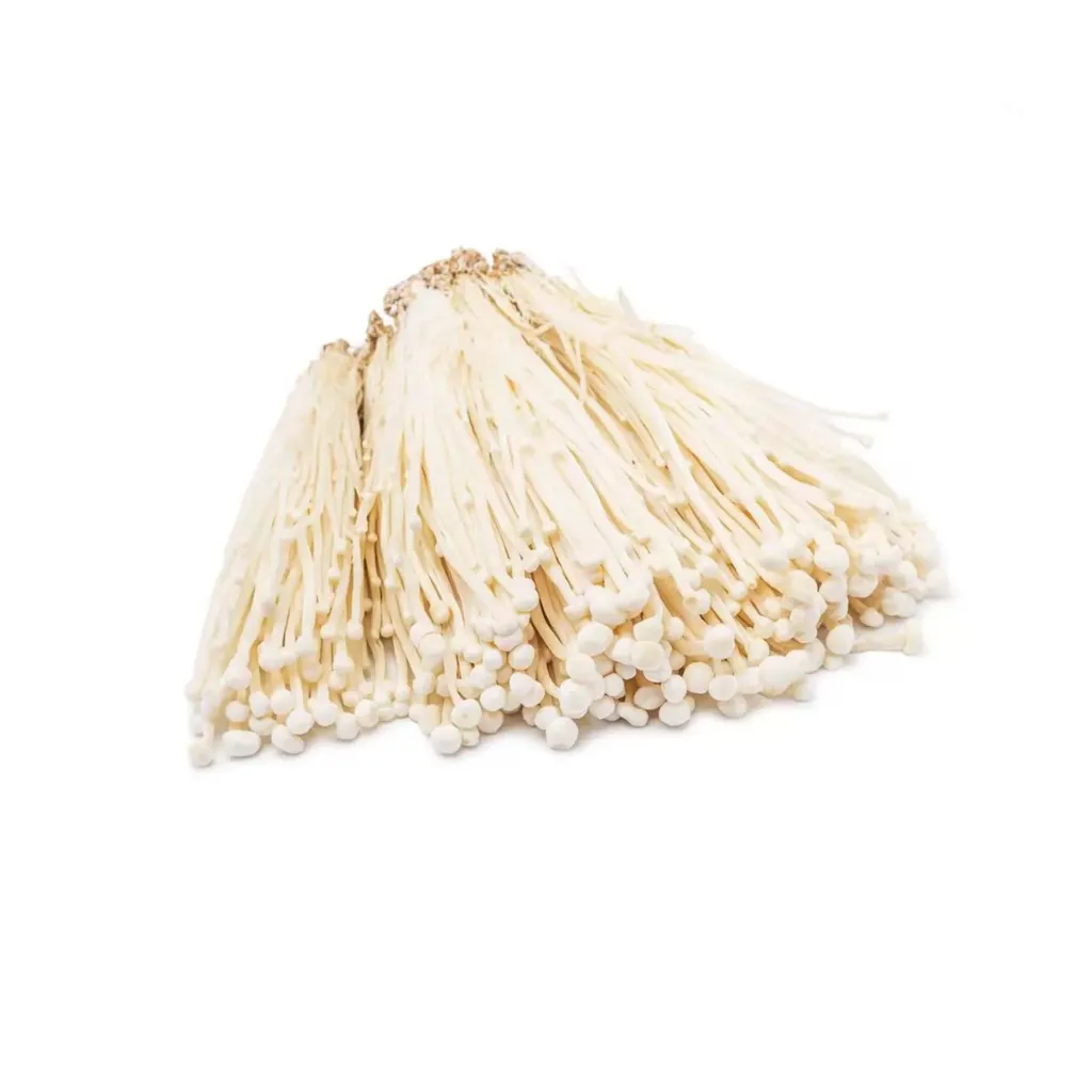 FUNGHI ENOKI 金针菇