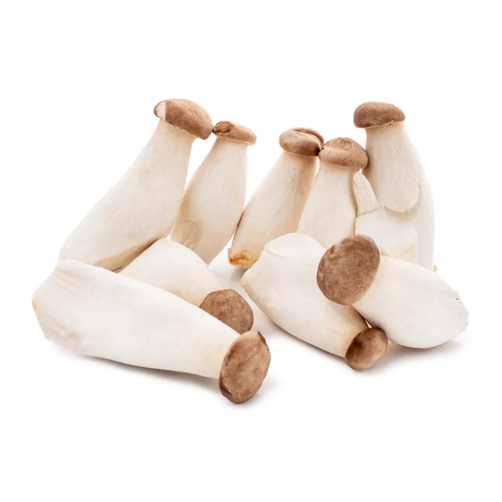 KING OYSTER MUSHROOM 200g 杏鲍菇