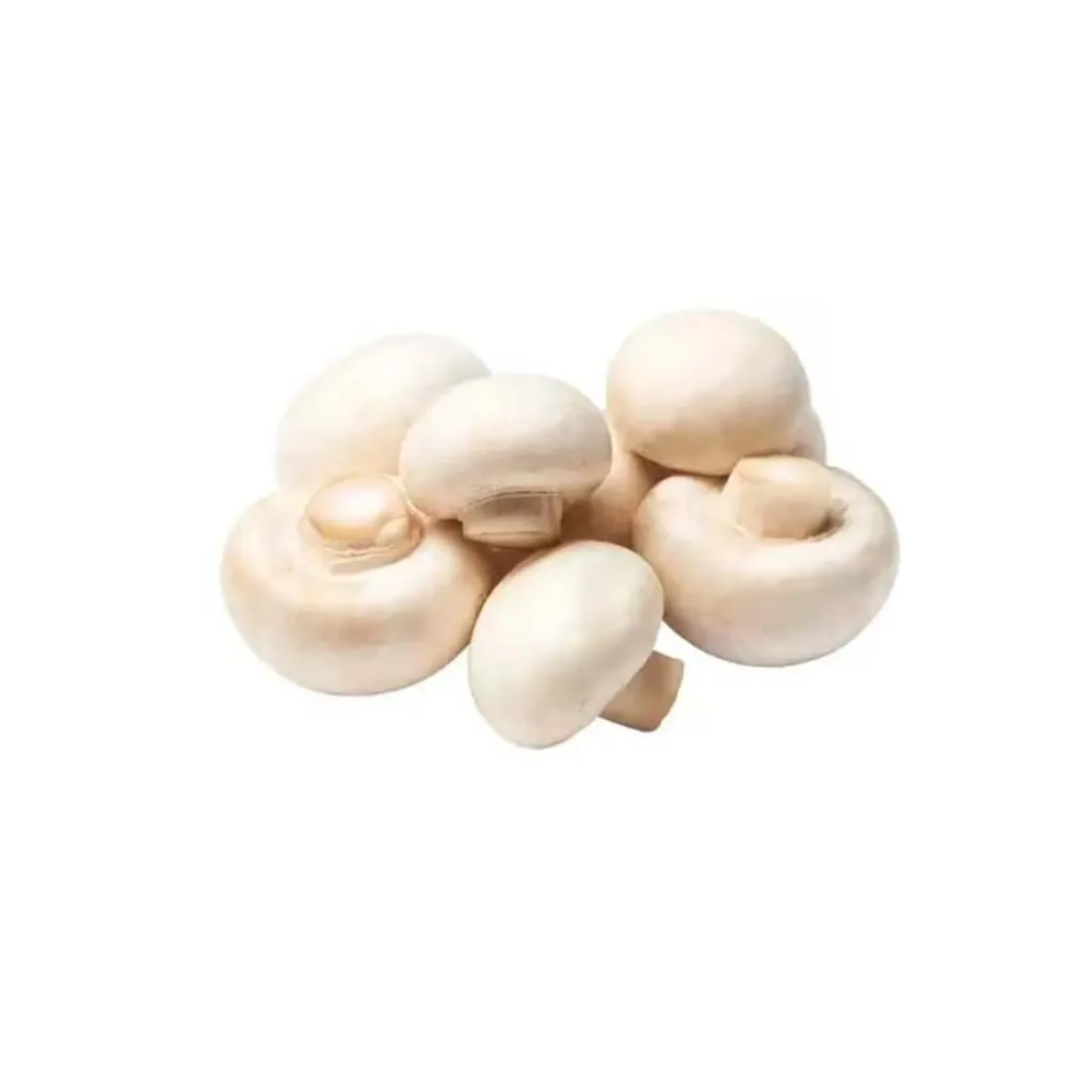 FUNGHI BIANCHI 口蘑