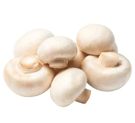 FUNGHI BIANCHI 口蘑