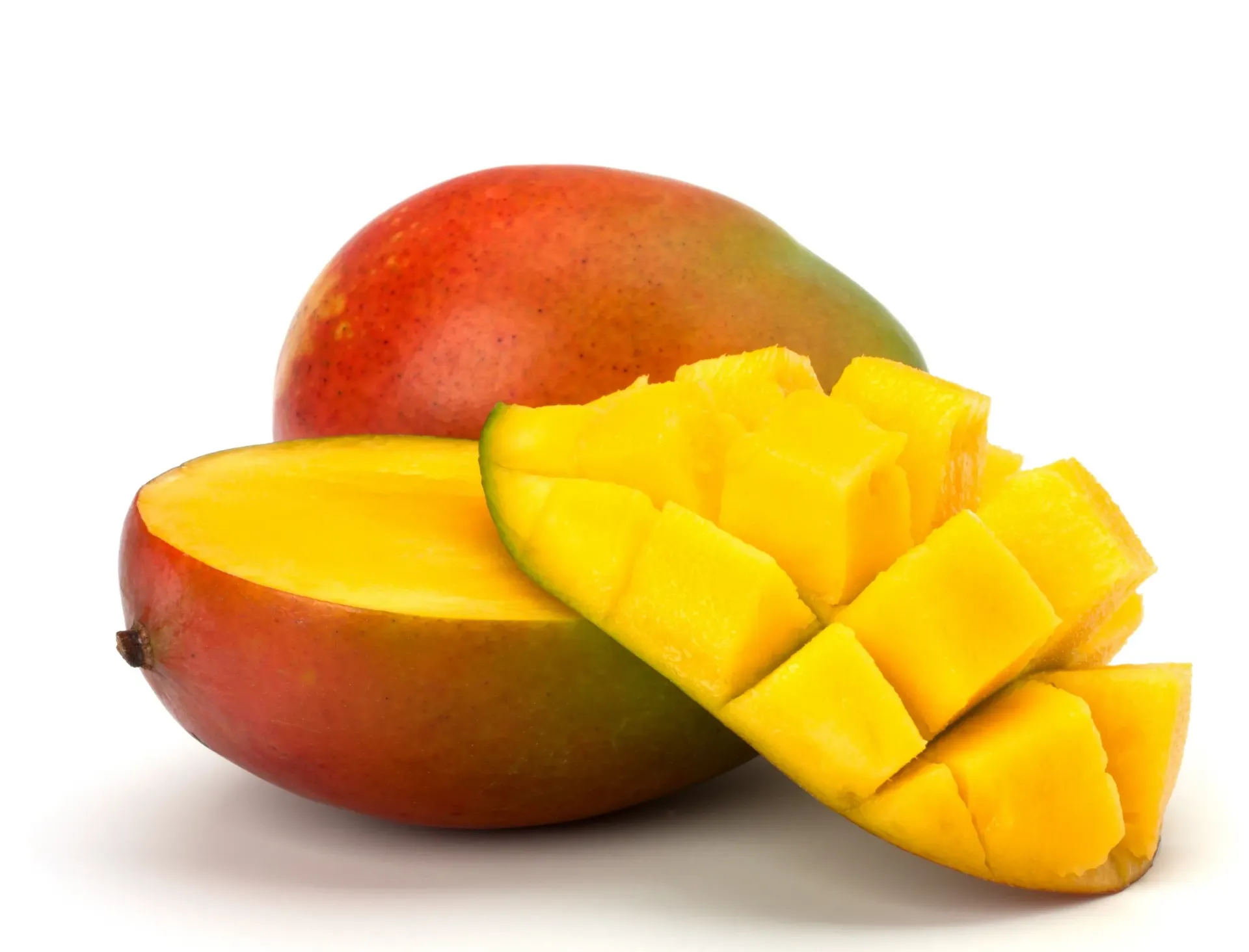 MANGO NORMAL 普通芒果