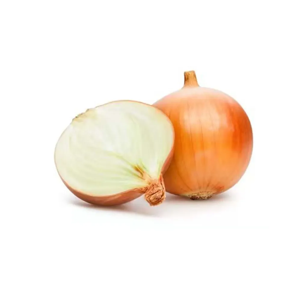 CIPOLLA 10KG 洋葱