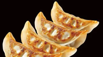 RAVIOLI DI POLLO ALLA GRIGLIA 12KG 麦恩日式鸡肉饺子