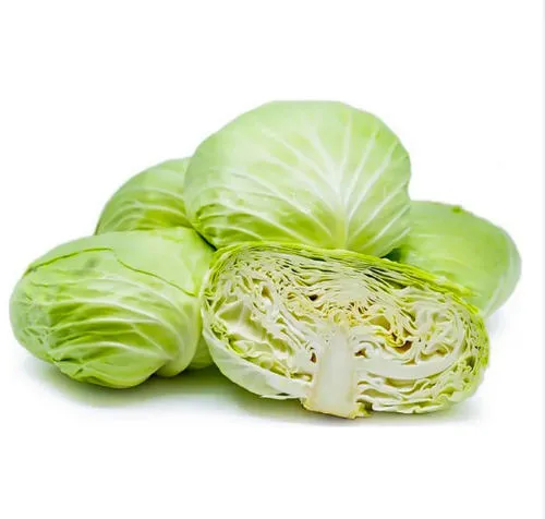 CRAUT CINESE 中国扁球菜