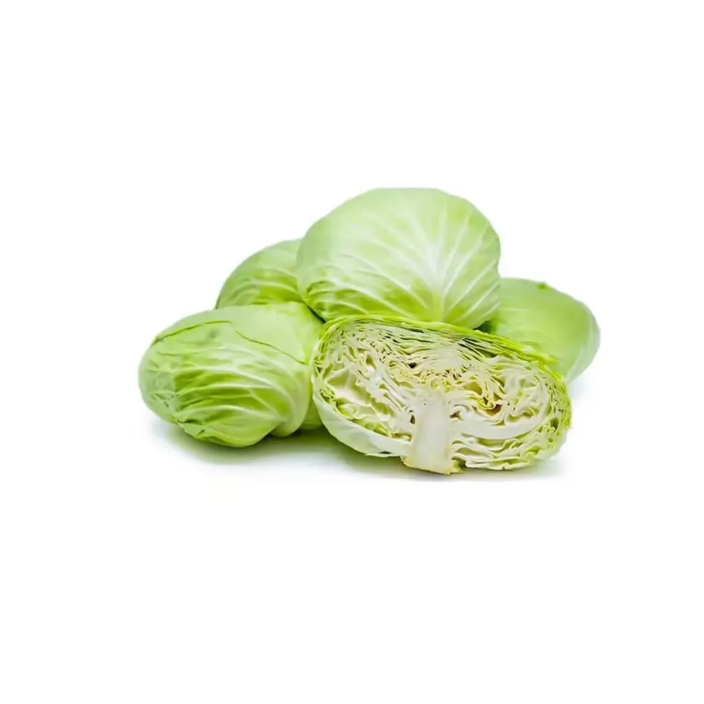 [F8057] CRAUT CINESE 中国扁球菜