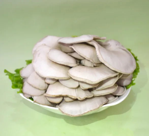 FUNGHI PIATTI 平菇