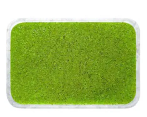 TOBIKO VOLANTE 500G 绿色飞鱼籽