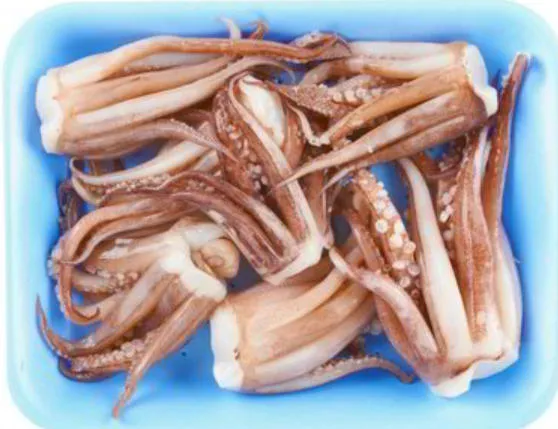 [C3033] TENTACOLI DI TOTANO ATLANTICO 净重4.8kg 鱿鱼须