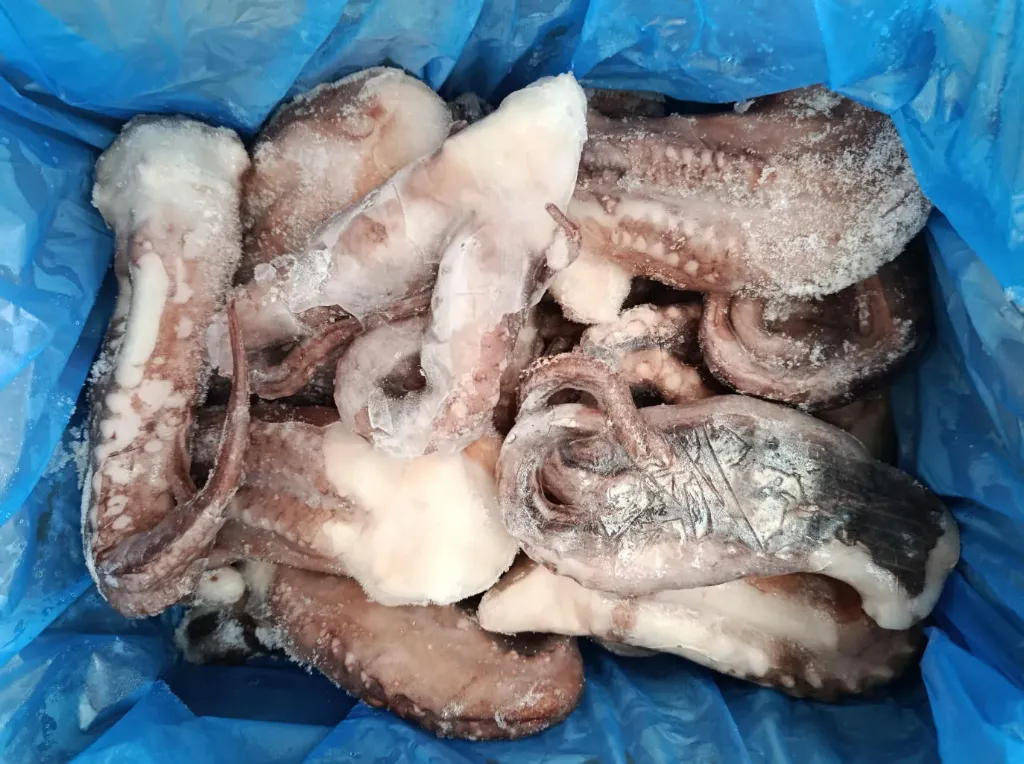 [C3057] TENTACOLI DI TOTANO GIGAS DEL PACIFICO 1000-2000 8KG 大鱿鱼须