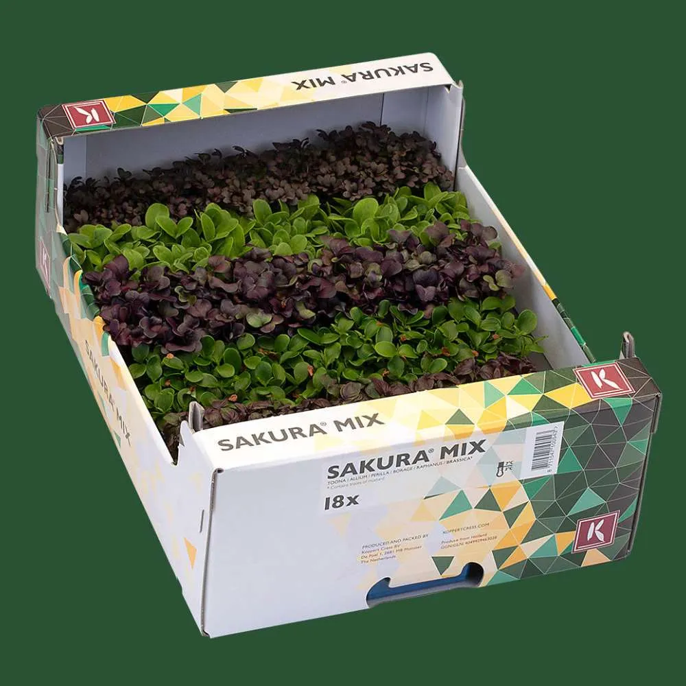 [F8096] SAKURA MIX