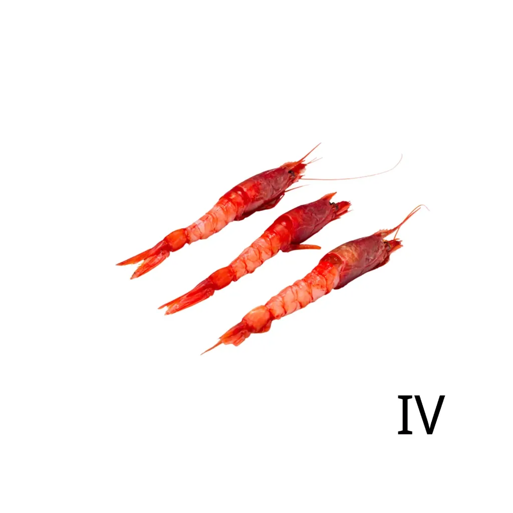 [C3040] GAMBERO ROSSO IV 800gr 红虾4号